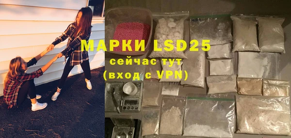 a pvp Дмитровск